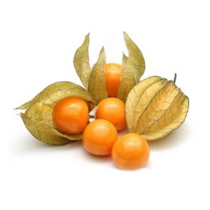 Physalis  ( CX /8 BND ) - Imagem 1