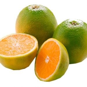 Laranja Pera Rio ( CX 20 KG ) - Imagem 1