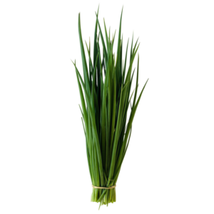 Cebolinha MÇ ( 400 GM ) - Imagem 1