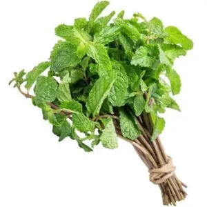 HORTELA ( MÇ ) - Imagem 1